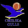 https://img.833zhibooq.com.cn/img/basketball/team/0d36b73786230e17d7d718ab10adab87.png