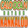 https://img.833zhibooq.com.cn/img/basketball/team/8f4f7a4d7dffd7785640d9ce2d429aa8.png