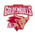 https://img.833zhibooq.com.cn/img/basketball/team/d1d77f07287fe840a7e77459e5bd1bfc.png
