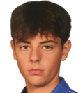 https://img.833zhibooq.com.cn/img/football/player/085143acca82acaa9854fe2485376d5e.png