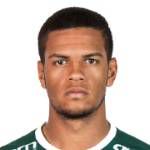 https://img.833zhibooq.com.cn/img/football/player/1495e63fc811824f02fd7fba9d254b1f.png