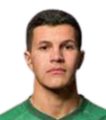https://img.833zhibooq.com.cn/img/football/player/16b124055082fc8f6781e435c96936b2.png
