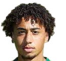 https://img.833zhibooq.com.cn/img/football/player/347a6d58ae7ec0425a4d42bc9215c411.png
