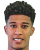 https://img.833zhibooq.com.cn/img/football/player/a6ea4c101369a75627e03b16910f3b6c.png