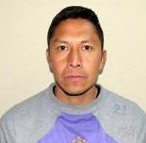 https://img.833zhibooq.com.cn/img/football/player/c3b0ecf81fbd62edf4d86f2766b62bda.jpg