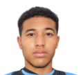 https://img.833zhibooq.com.cn/img/football/player/d7bc71cad19fb7019c0a27186d554ad5.png