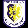 https://img.833zhibooq.com.cn/img/football/team/0425718c842cc1330a6507bdde3c1da4.png