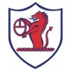 https://img.833zhibooq.com.cn/img/football/team/11fb72f7b5eacfc881ee11bac75871fa.png