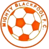 https://img.833zhibooq.com.cn/img/football/team/e7581fc6c38fb3a0ef7fda8456c48353.png